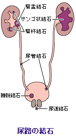 神宮大会 ベストナイン